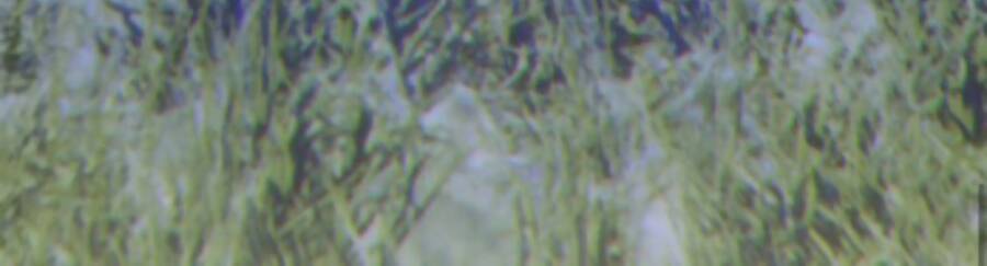 Gậy Gỗ Cấp 99+ Chap 11 - Next Chap 12