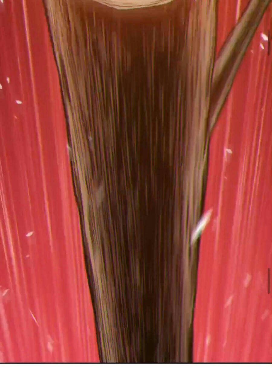 Gậy Gỗ Cấp 99+ Chap 9.5 - Next Chap 10.5