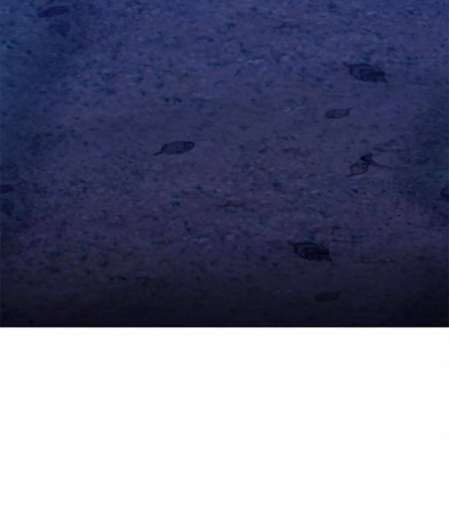 Gậy Gỗ Cấp 99+ Chap 9 - Next Chap 10