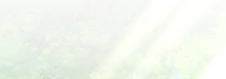 Anh Hùng Trở Về Chap 5 - Next Chap 6