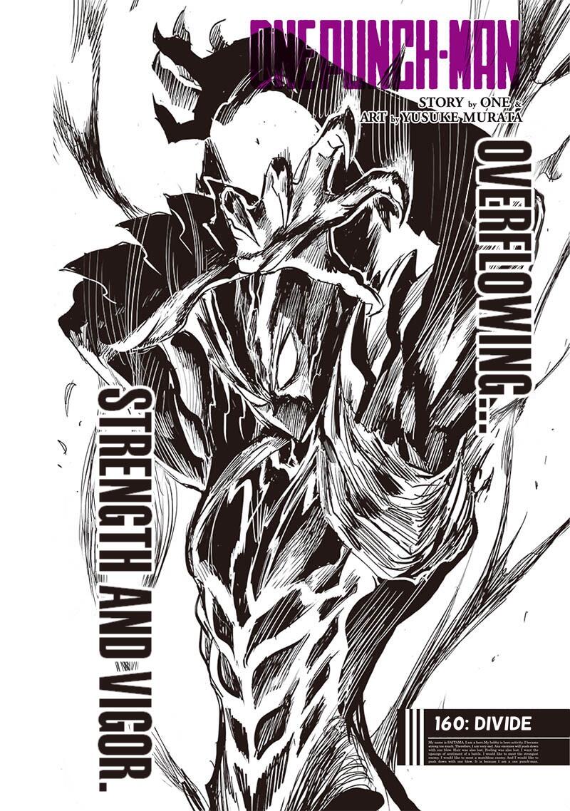 Onepunch Man Chap 207 - Next Chap 208