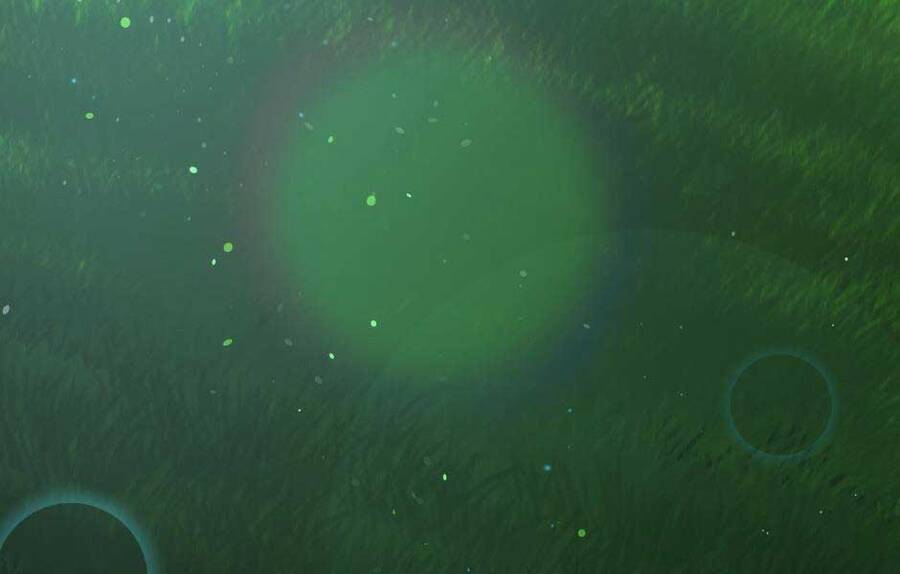 Ánh Sáng Cuối Con Đường Chap 152 - Next Chap 153