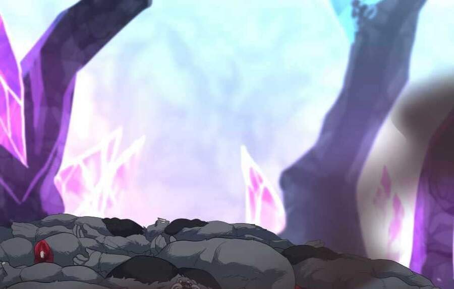 Ánh Sáng Cuối Con Đường Chap 117.5 - Next Chap 118.5