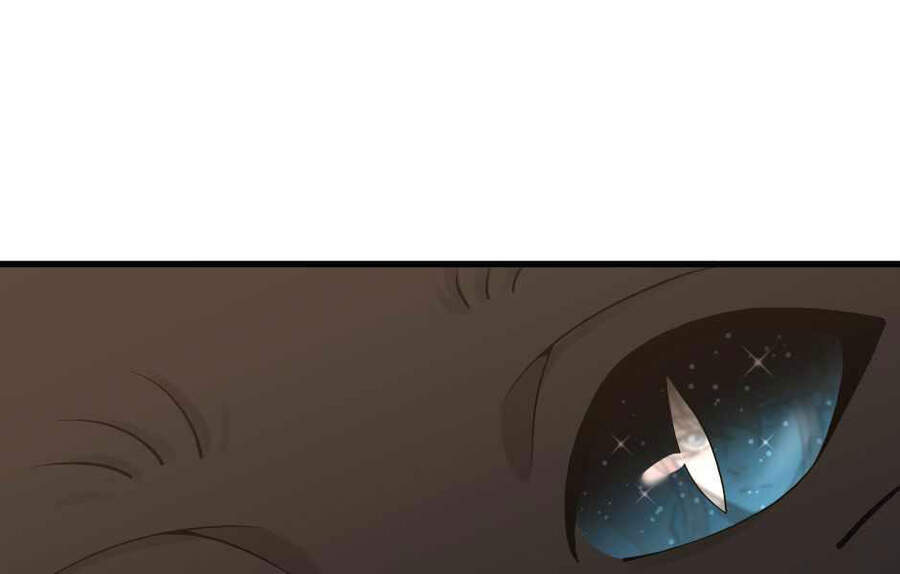 Ánh Sáng Cuối Con Đường Chap 121 - Next Chap 122