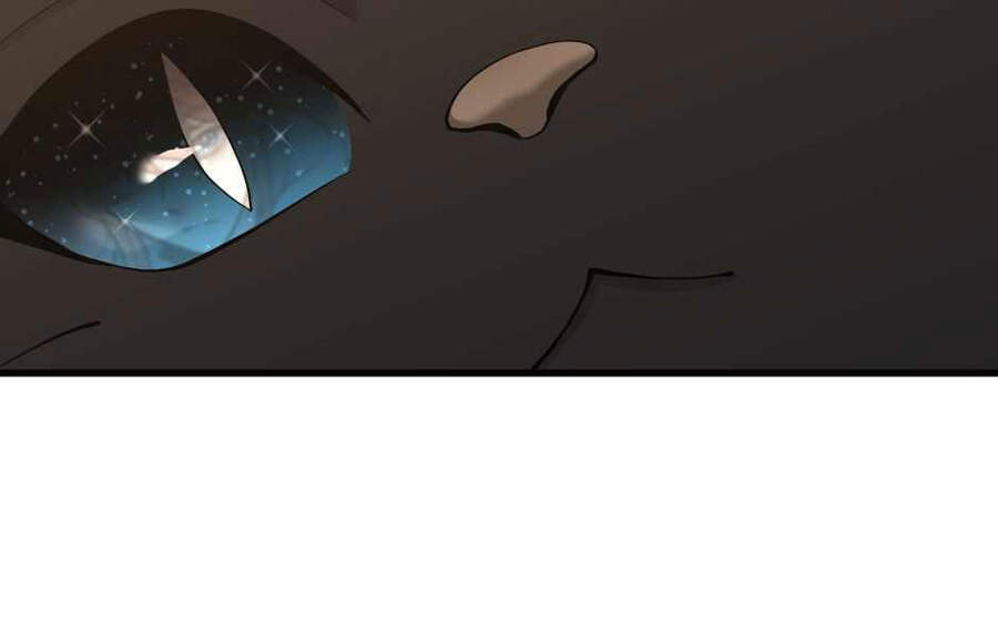 Ánh Sáng Cuối Con Đường Chap 121 - Next Chap 122