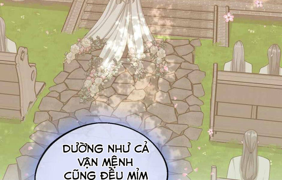 Ánh Sáng Cuối Con Đường Chap 131 - Next Chap 132
