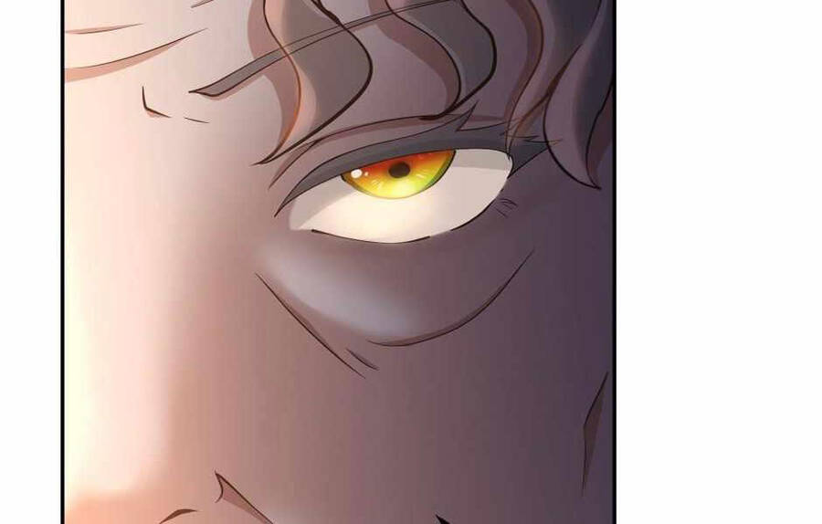 Ánh Sáng Cuối Con Đường Chap 132 - Next Chap 133