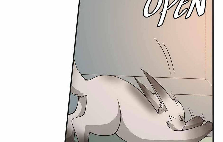 Ánh Sáng Cuối Con Đường Chap 133 - Next Chap 134