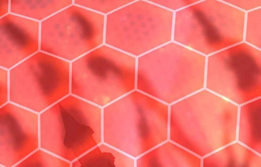 Ánh Sáng Cuối Con Đường Chap 136 - Next Chap 137