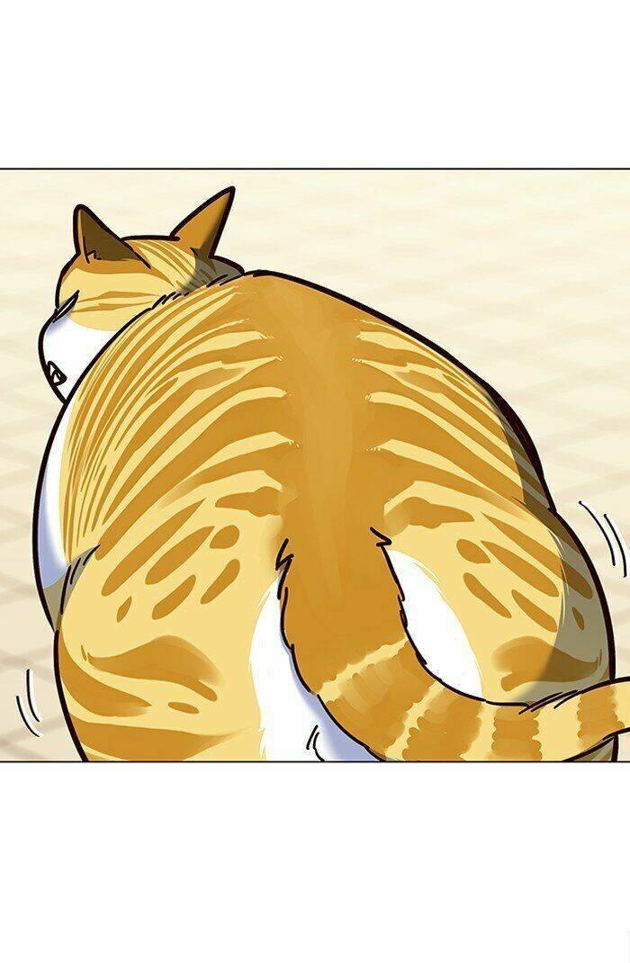 Hoá Thân Thành Mèo Chap 81 - Next Chap 82