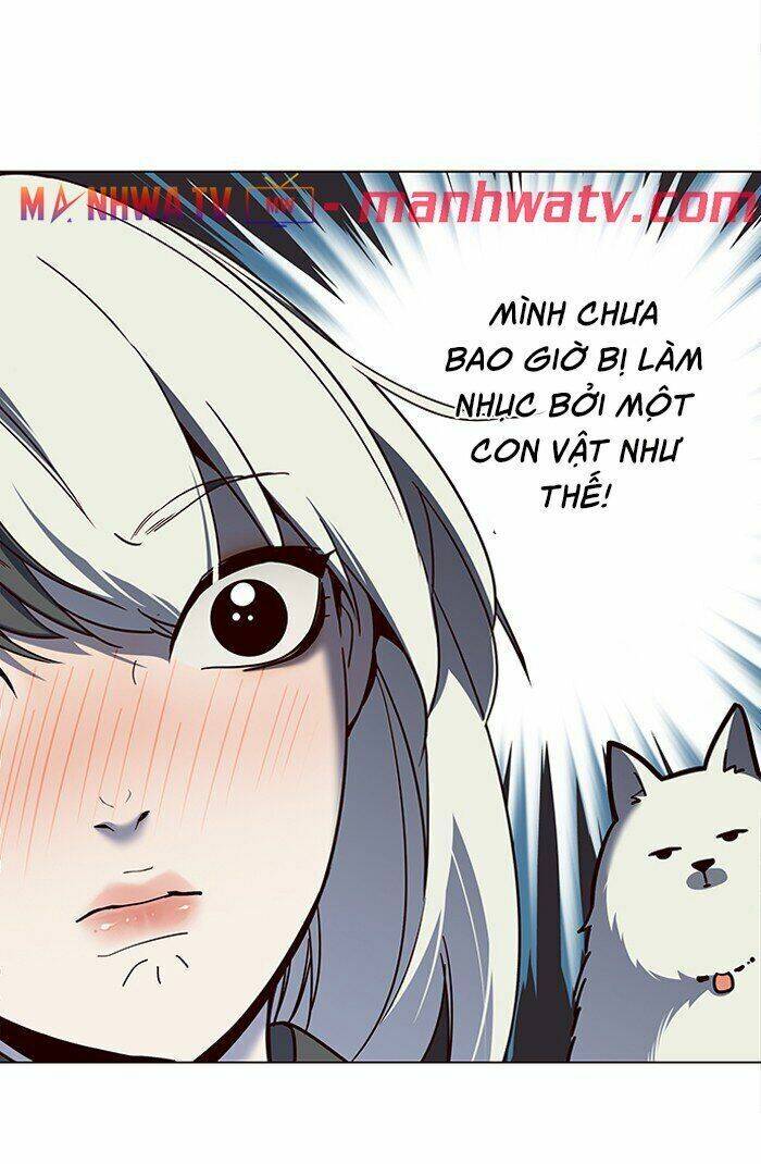 Hoá Thân Thành Mèo Chap 81 - Next Chap 82