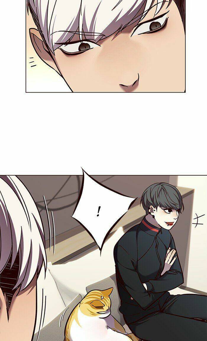 Hoá Thân Thành Mèo Chap 82 - Next Chap 83