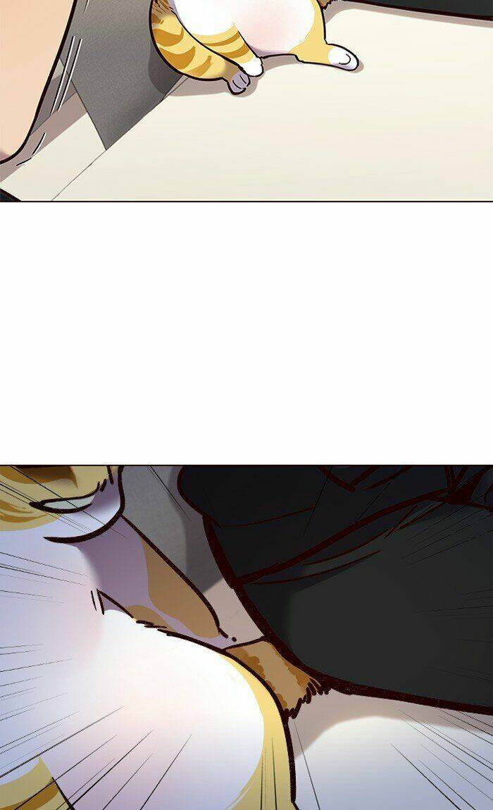 Hoá Thân Thành Mèo Chap 82 - Next Chap 83