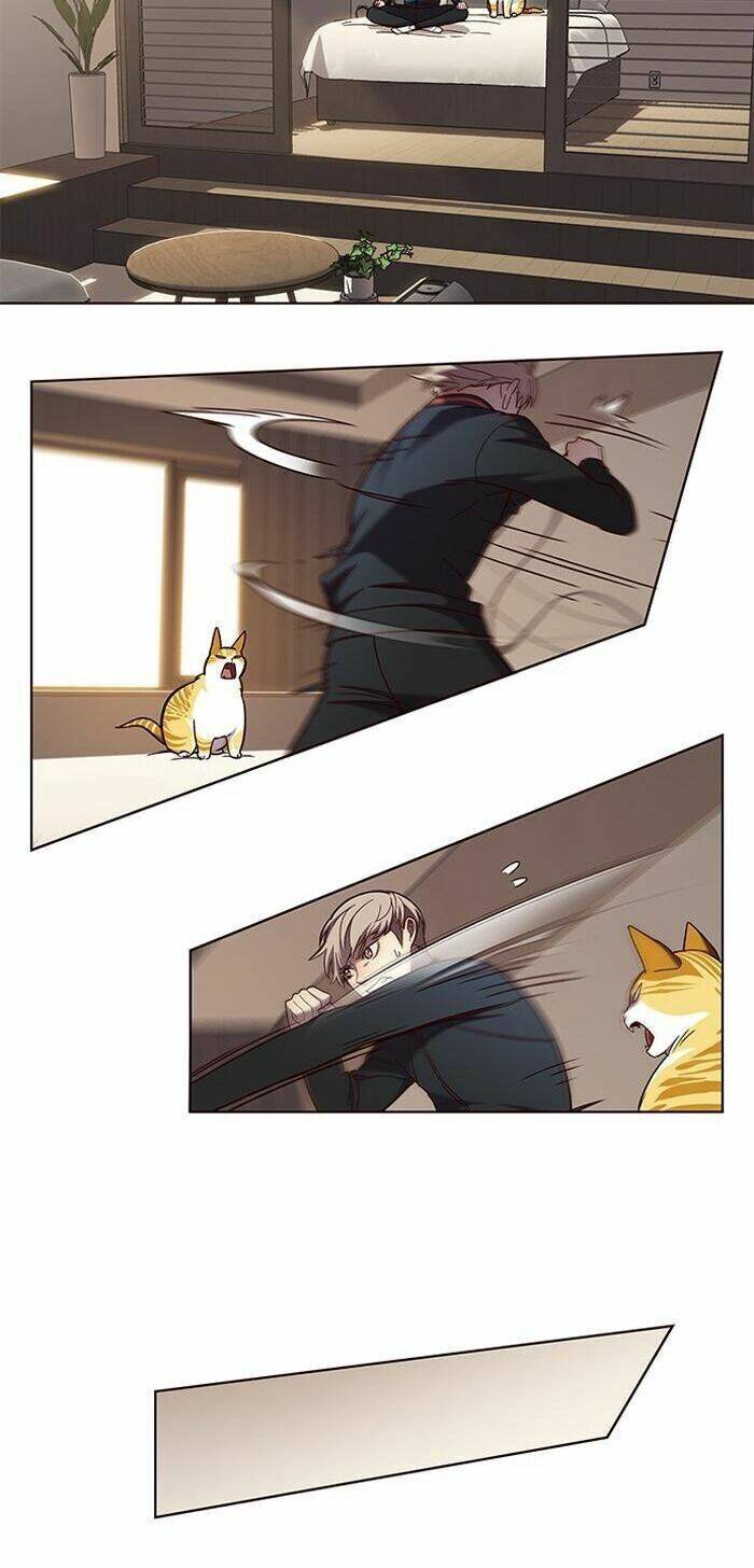 Hoá Thân Thành Mèo Chap 83 - Next Chap 84