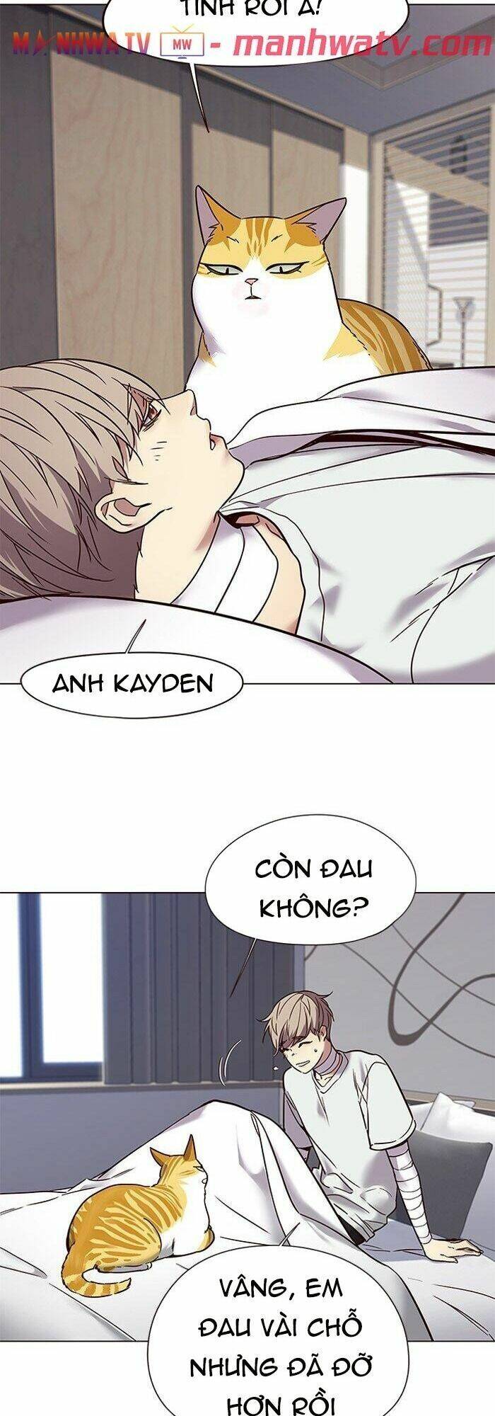 Hoá Thân Thành Mèo Chap 88 - Next Chap 89