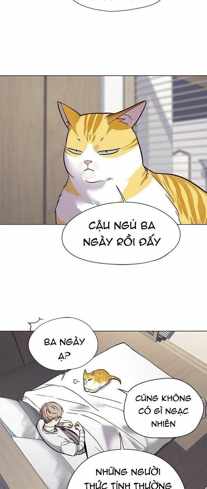 Hoá Thân Thành Mèo Chap 88 - Next Chap 89