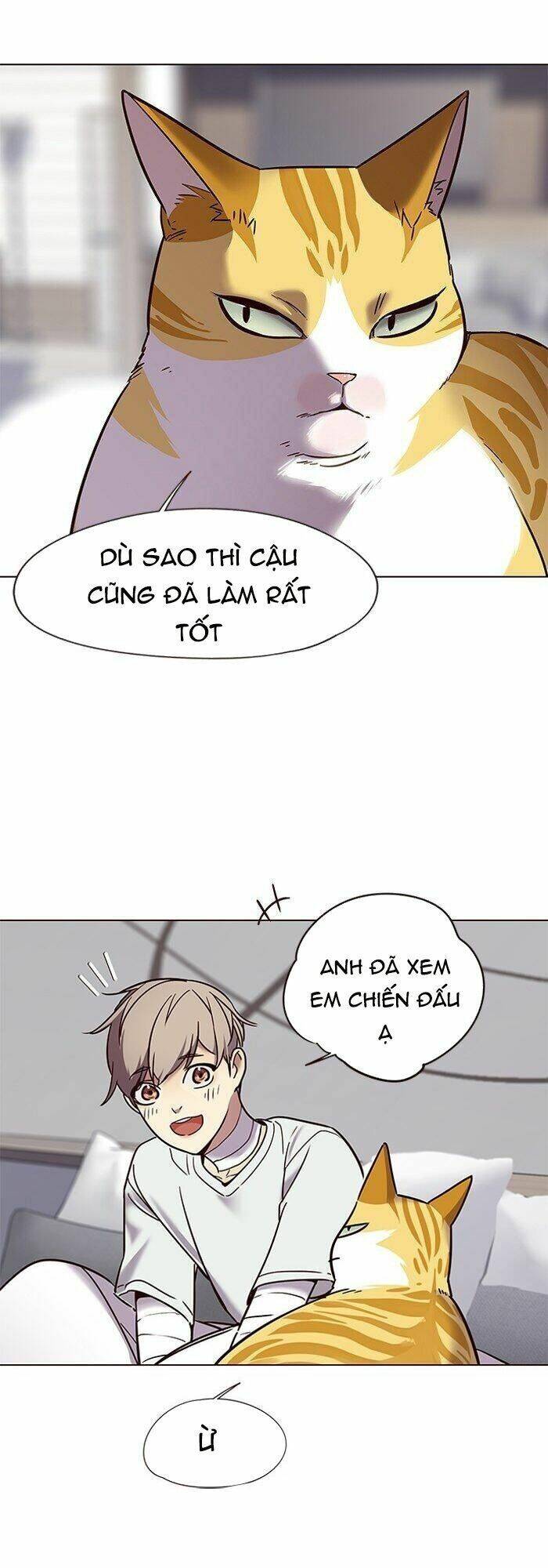 Hoá Thân Thành Mèo Chap 88 - Next Chap 89