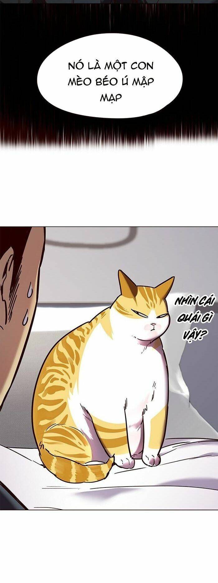 Hoá Thân Thành Mèo Chap 89 - Next Chap 90