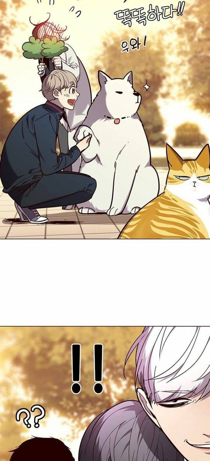 Hoá Thân Thành Mèo Chap 90 - Next Chap 91