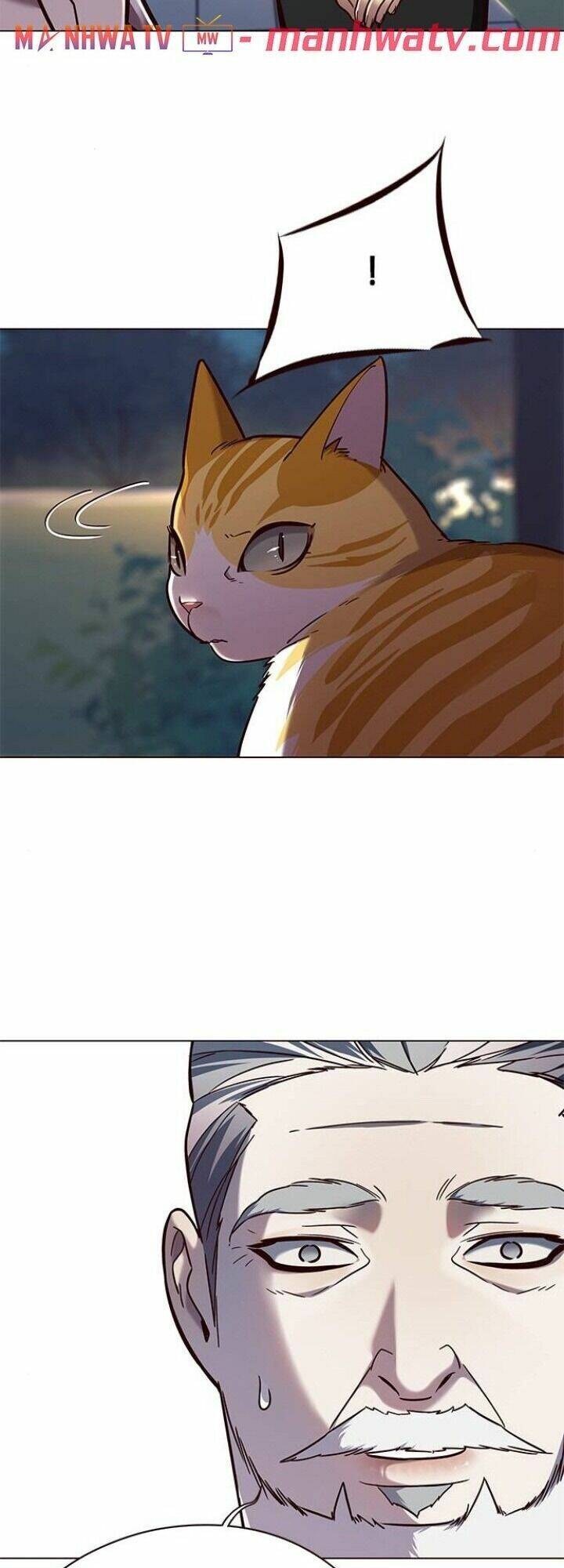 Hoá Thân Thành Mèo Chap 91 - Next Chap 92