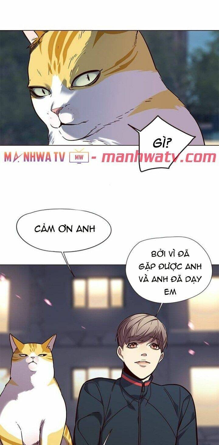 Hoá Thân Thành Mèo Chap 91 - Next Chap 92