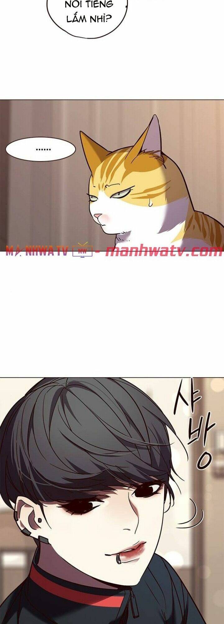 Hoá Thân Thành Mèo Chap 91 - Next Chap 92