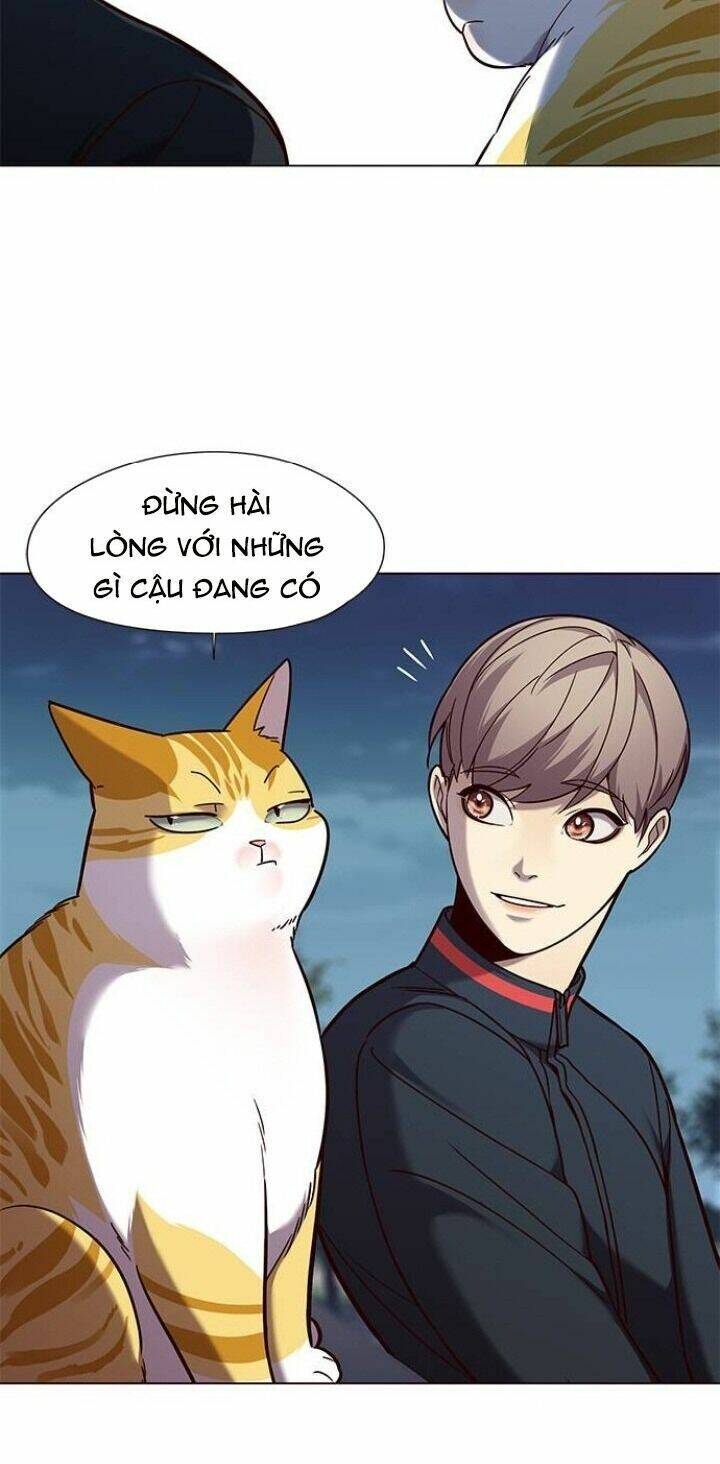 Hoá Thân Thành Mèo Chap 91 - Next Chap 92