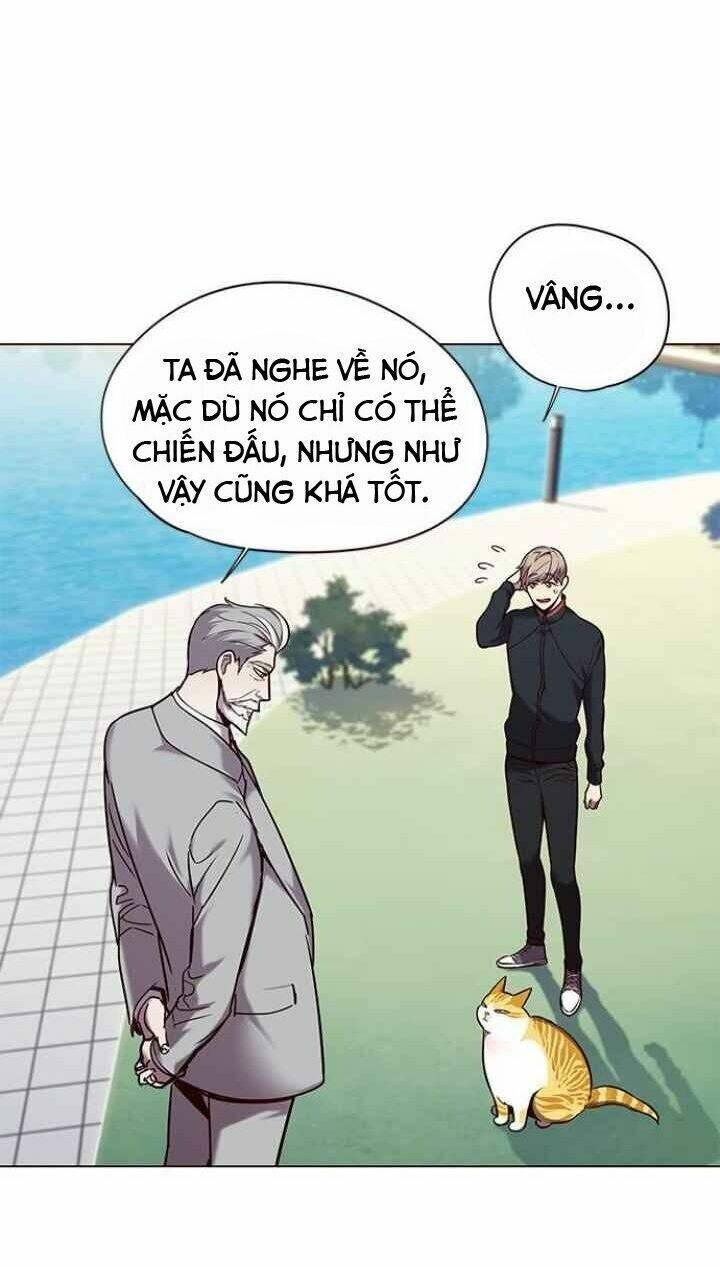 Hoá Thân Thành Mèo Chap 92 - Next Chap 93