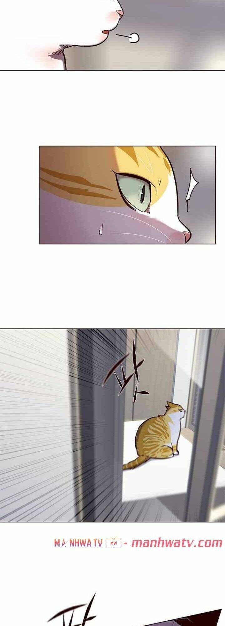 Hoá Thân Thành Mèo Chap 92 - Next Chap 93