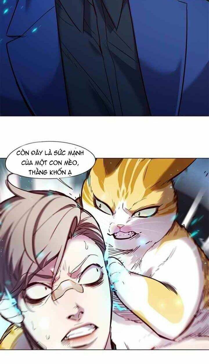 Hoá Thân Thành Mèo Chap 93 - Next Chap 94