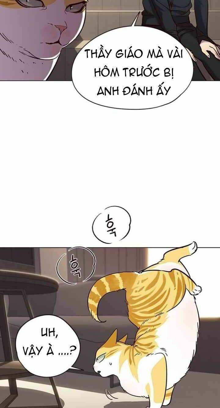 Hoá Thân Thành Mèo Chap 94 - Next Chap 95