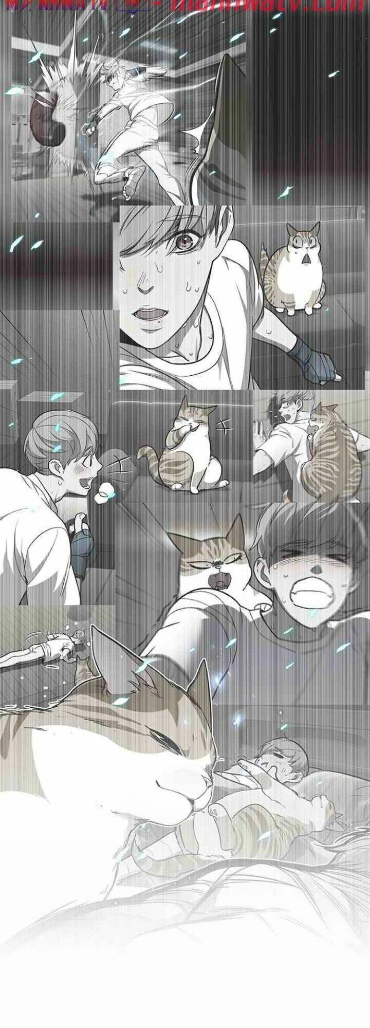 Hoá Thân Thành Mèo Chap 99 - Next Chap 100