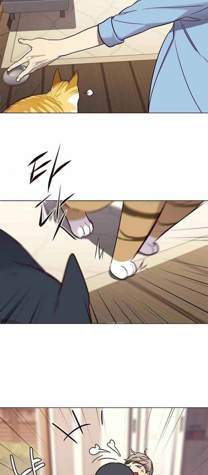 Hoá Thân Thành Mèo Chap 99 - Next Chap 100