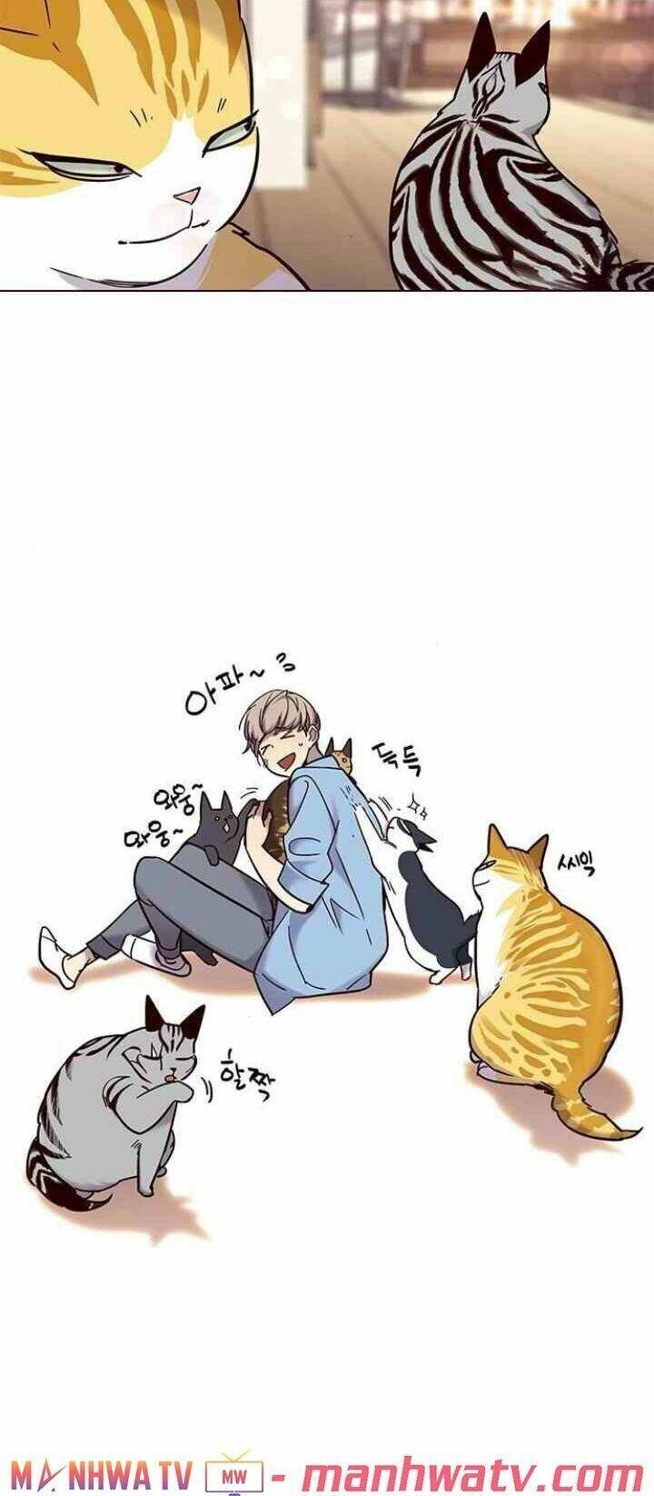 Hoá Thân Thành Mèo Chap 99 - Next Chap 100