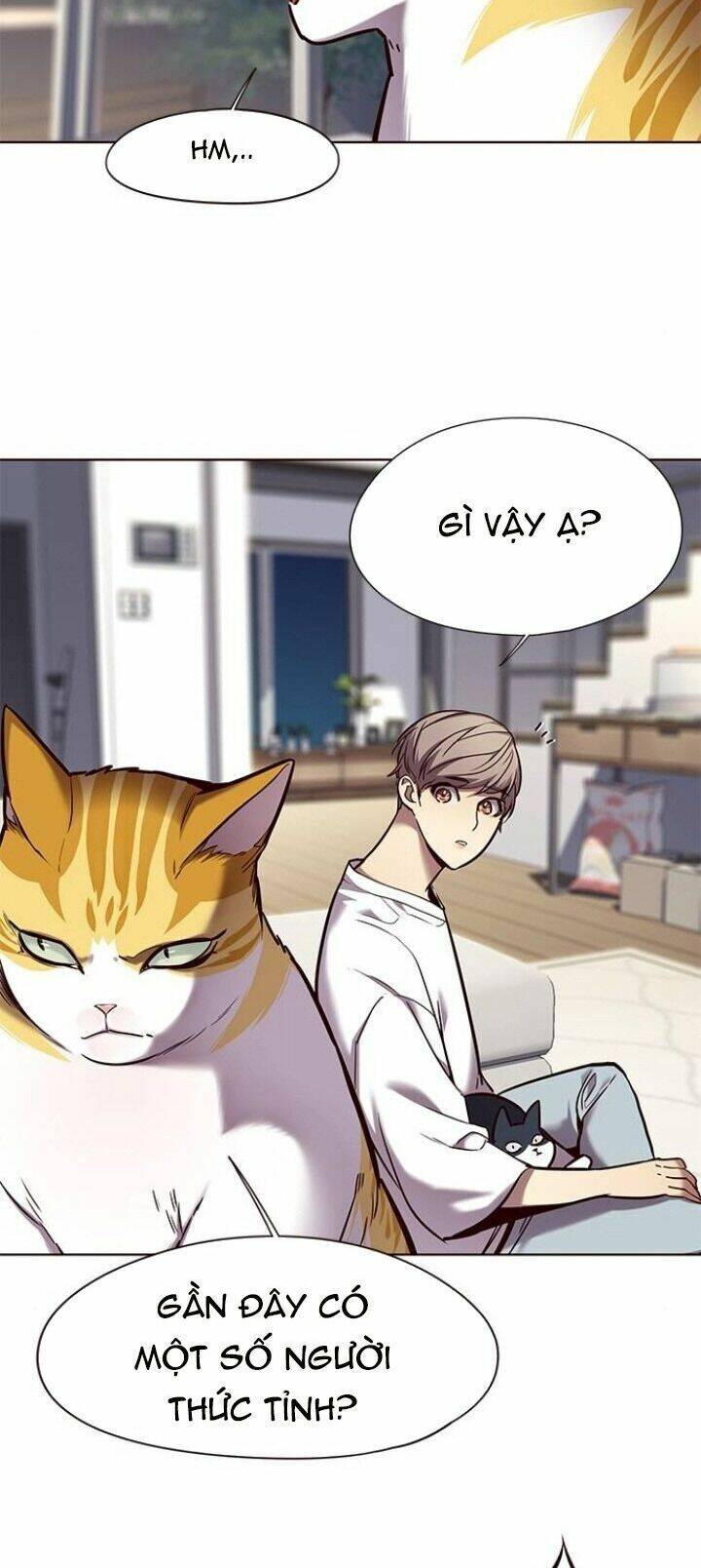 Hoá Thân Thành Mèo Chap 104 - Next Chap 105