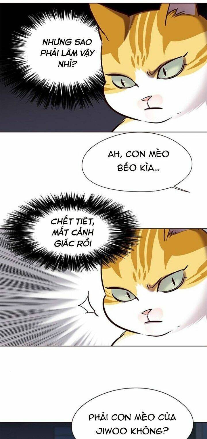 Hoá Thân Thành Mèo Chap 105 - Next Chap 106