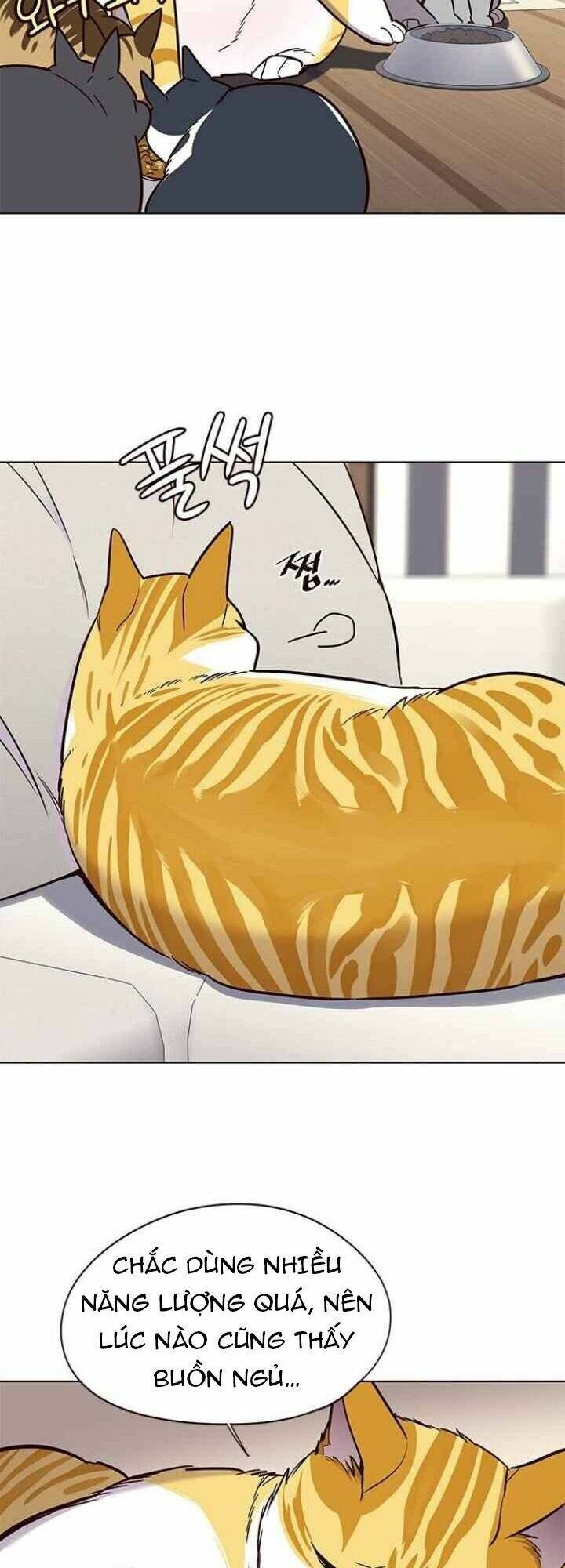 Hoá Thân Thành Mèo Chap 101 - Next Chap 102