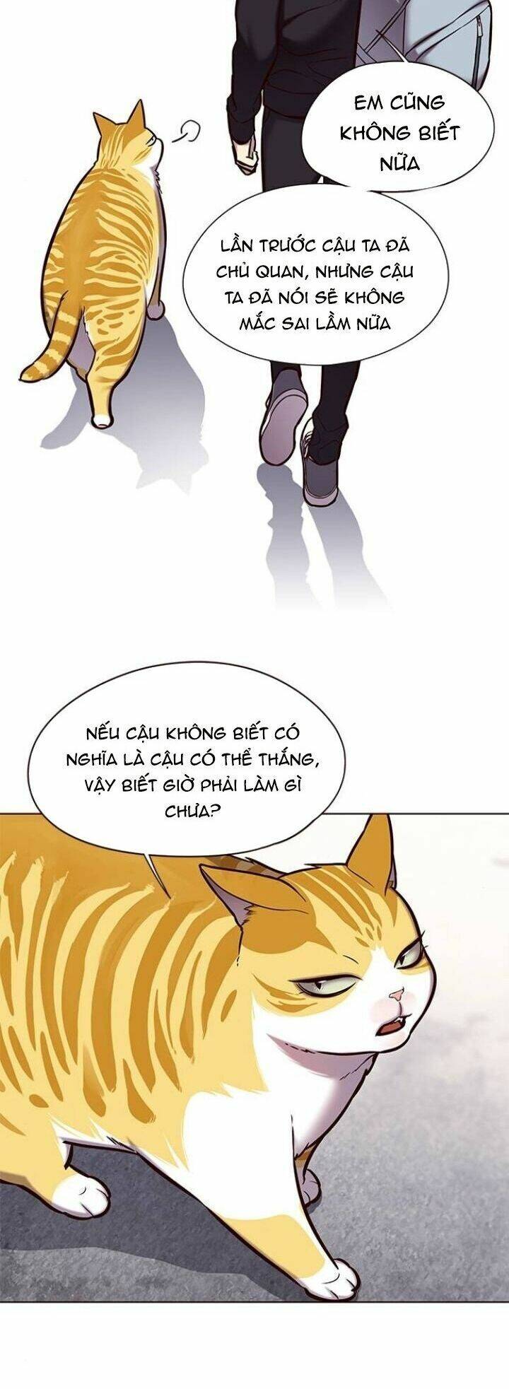 Hoá Thân Thành Mèo Chap 117 - Next Chap 118