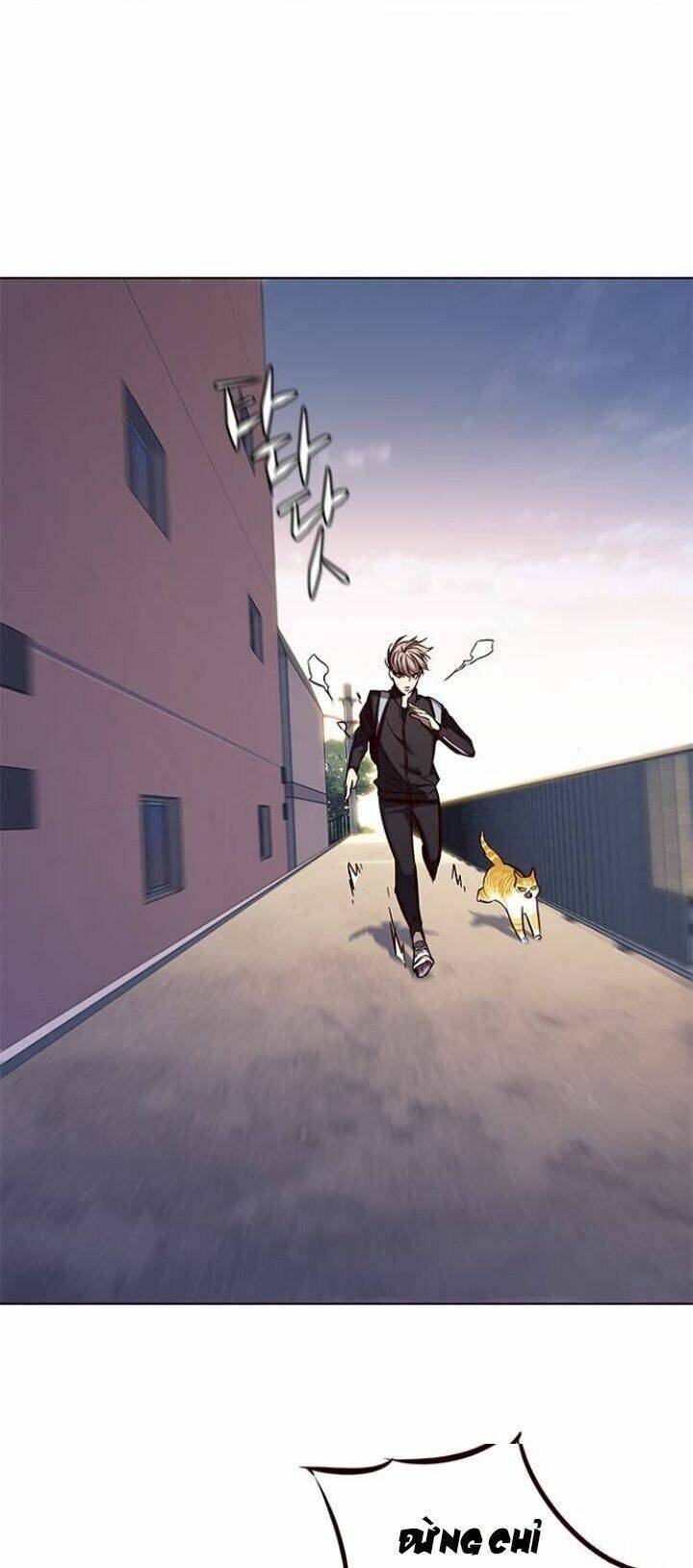 Hoá Thân Thành Mèo Chap 117 - Next Chap 118