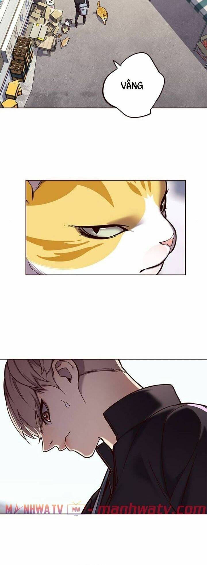 Hoá Thân Thành Mèo Chap 117 - Next Chap 118