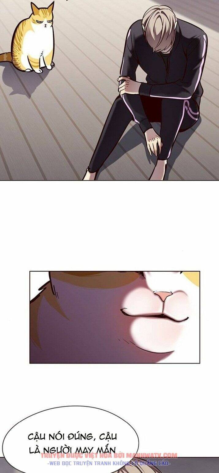 Hoá Thân Thành Mèo Chap 116 - Next Chap 117