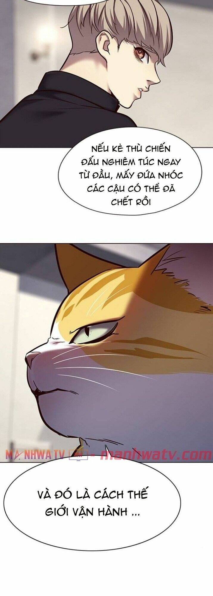 Hoá Thân Thành Mèo Chap 116 - Next Chap 117