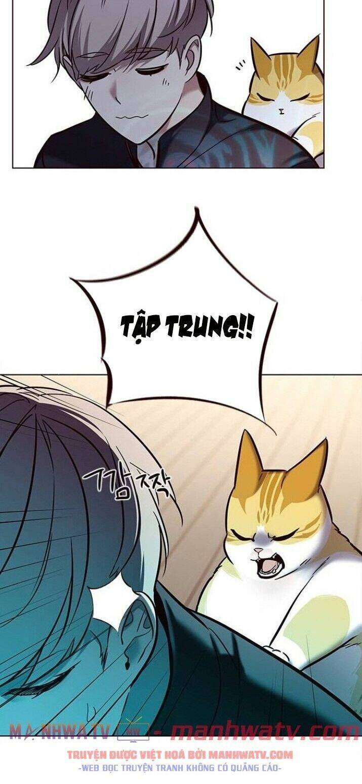 Hoá Thân Thành Mèo Chap 116 - Next Chap 117