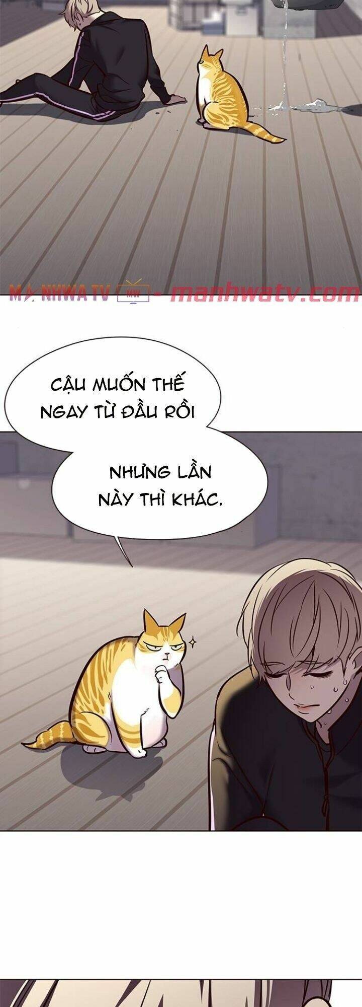 Hoá Thân Thành Mèo Chap 116 - Next Chap 117