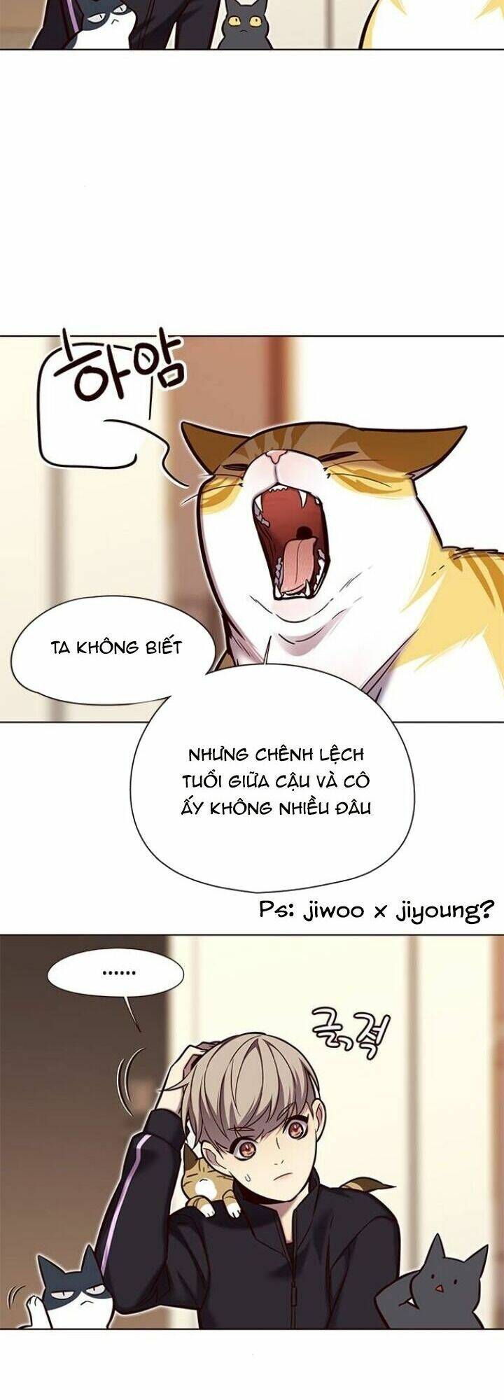 Hoá Thân Thành Mèo Chap 118 - Next Chap 119