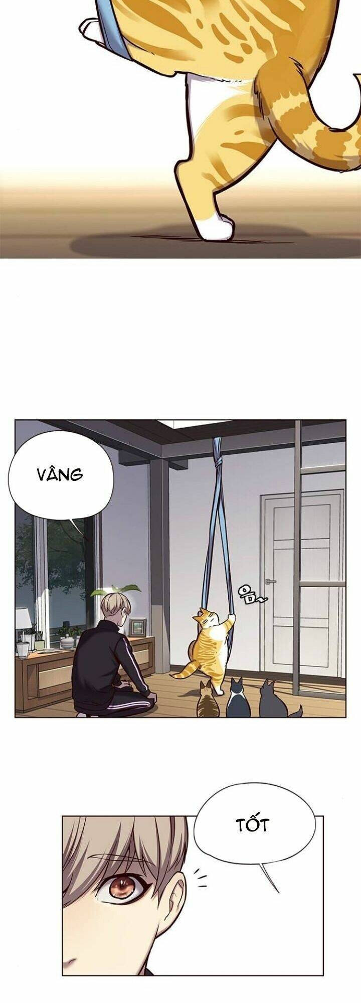 Hoá Thân Thành Mèo Chap 118 - Next Chap 119