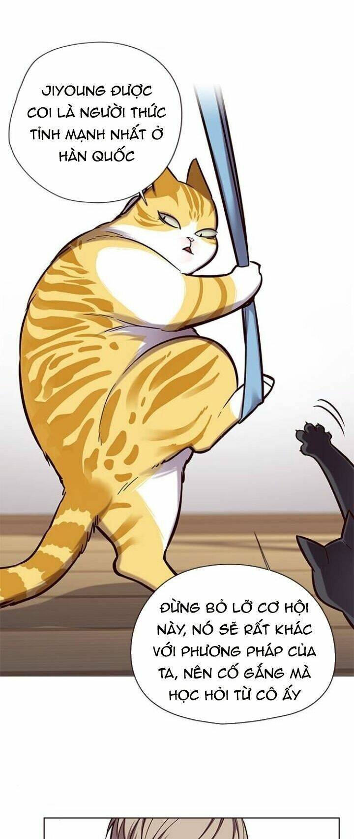 Hoá Thân Thành Mèo Chap 118 - Next Chap 119