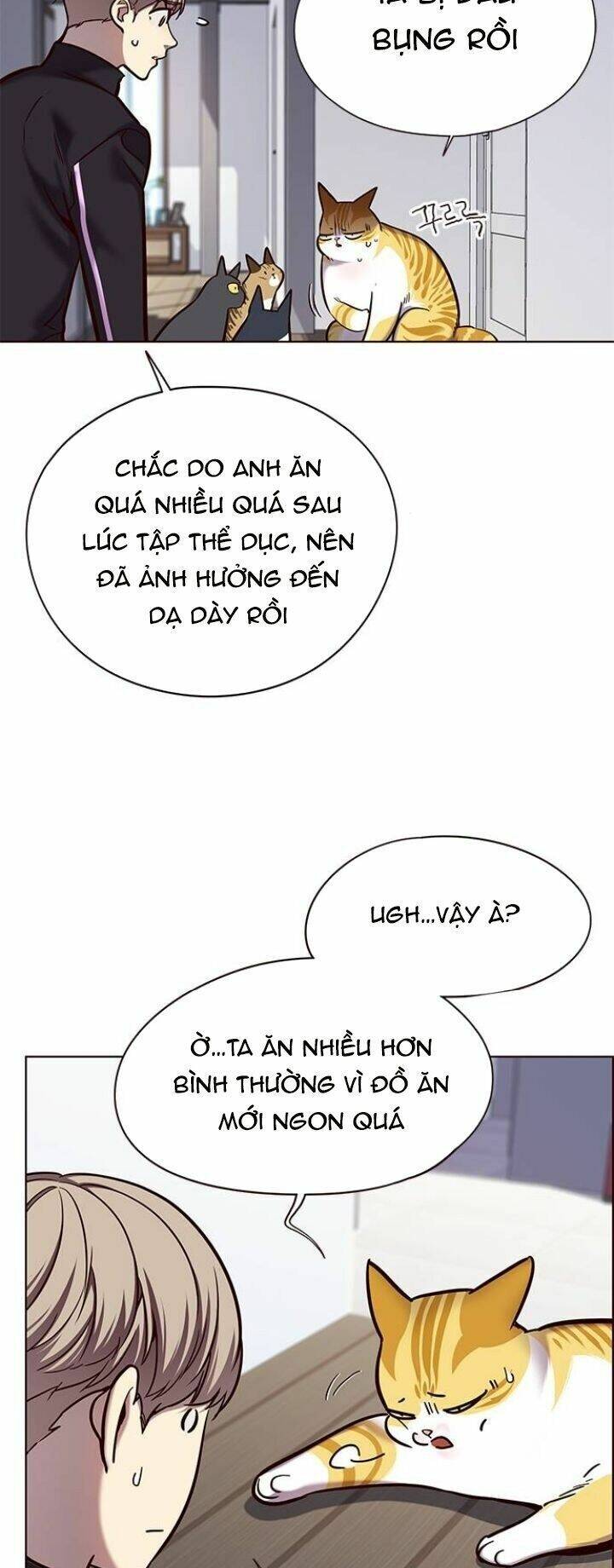 Hoá Thân Thành Mèo Chap 119 - Next Chap 120
