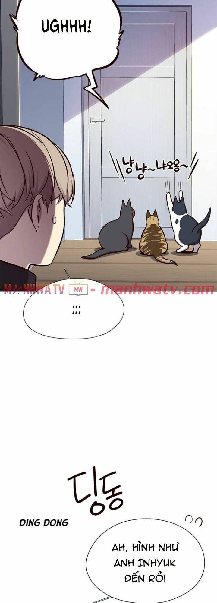 Hoá Thân Thành Mèo Chap 119 - Next Chap 120