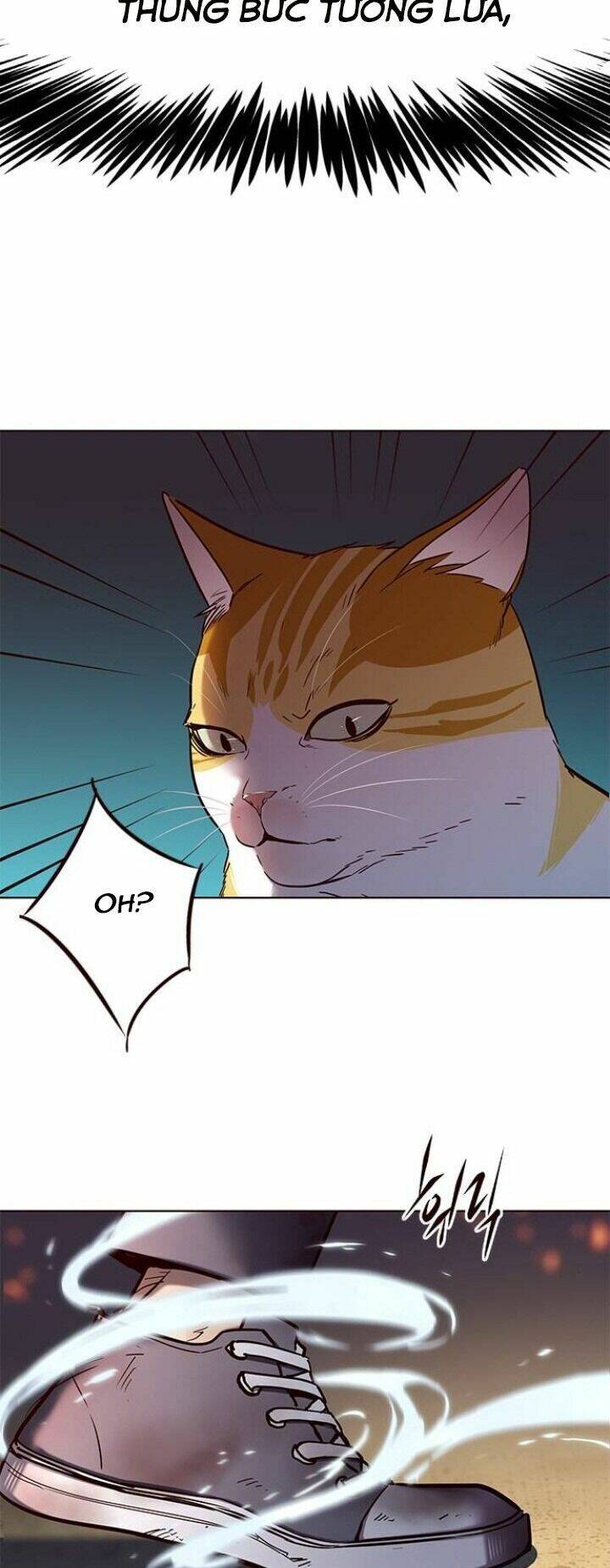 Hoá Thân Thành Mèo Chap 110 - Next Chap 111